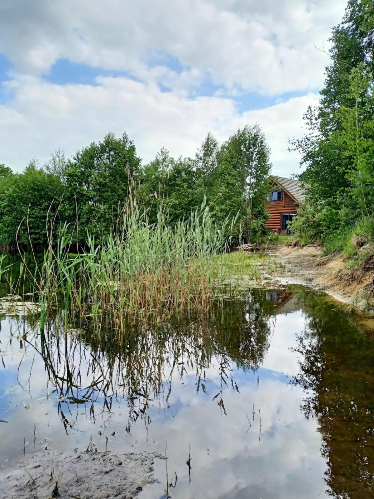 Unieke Houten Villa Met Sauna In Twente - 6P Den Ham Eksteriør bilde